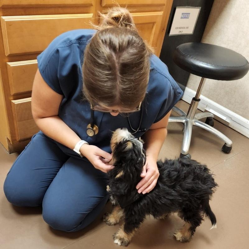 Community Connections Sweet Pup Takeover